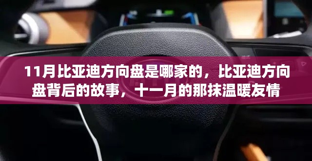 联系我们 第231页