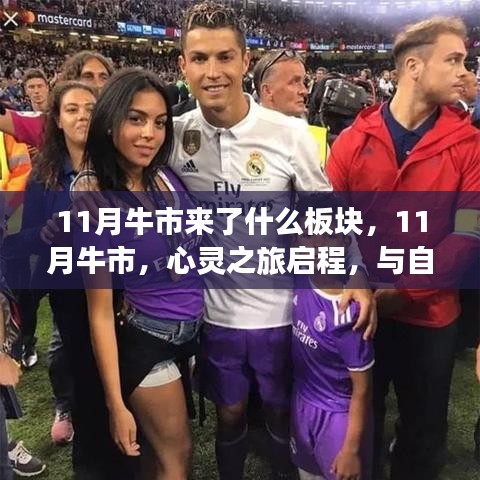 联系我们 第230页