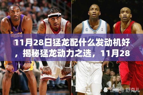 公司简介 第222页