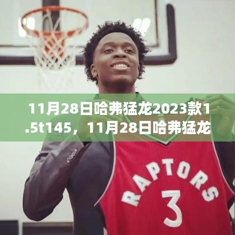 运输网络 第217页
