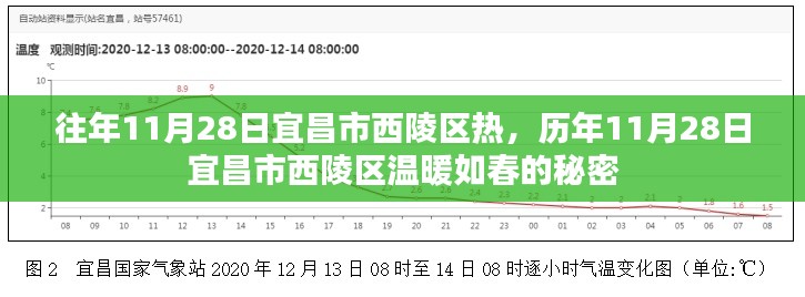 金石为开 第4页