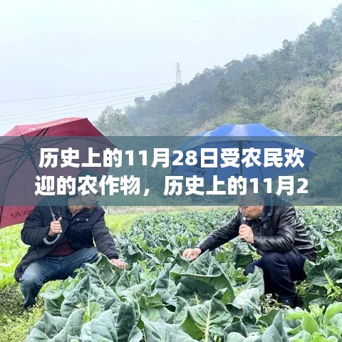 五侯七贵 第3页