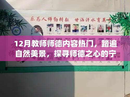 乌鸟之情 第3页