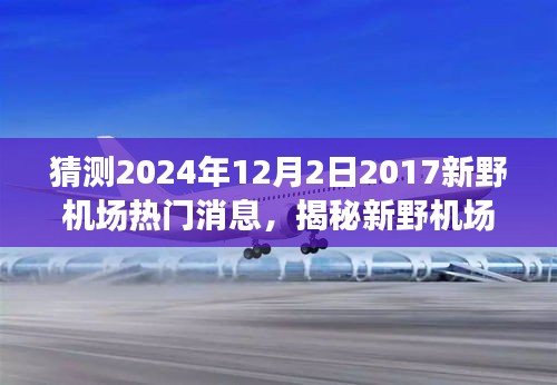 揭秘新野机场背后的故事，特色小店与未知惊喜，预测未来热门消息曝光（2024年12月2日）