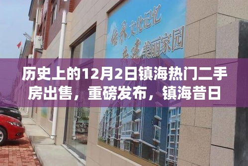 翰飞戾天 第3页