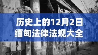 展翅欲飞 第3页