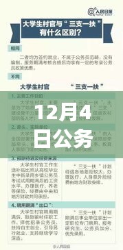 最新解读，12月4日公务员参考目录重点概览与最新资讯