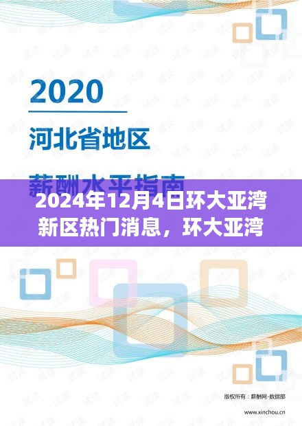 环大亚湾新区未来机遇揭秘，关键技能与任务指南解读（2024年热门消息）