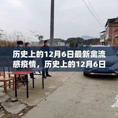 花开无言 第3页
