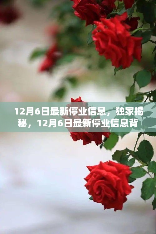 独家揭秘，揭秘最新停业信息背后的商业动态与行业趋势分析（12月6日更新）