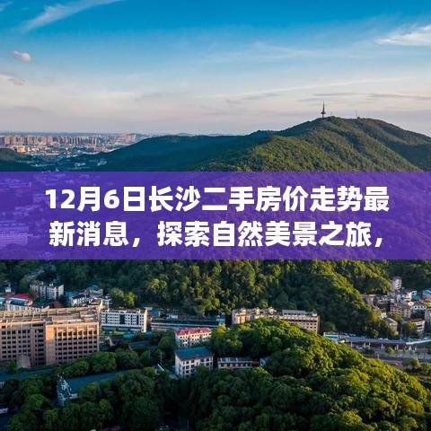 囊萤映雪 第4页