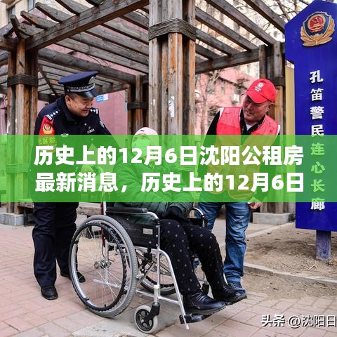 沈阳公租房动态解析，历史视角下的观点碰撞与最新消息速递
