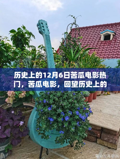 回望历史上的十二月六日，苦瓜电影热门回顾