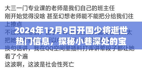 开国少将逝世背后的故事，特色小店探秘与小巷深处的宝藏揭秘