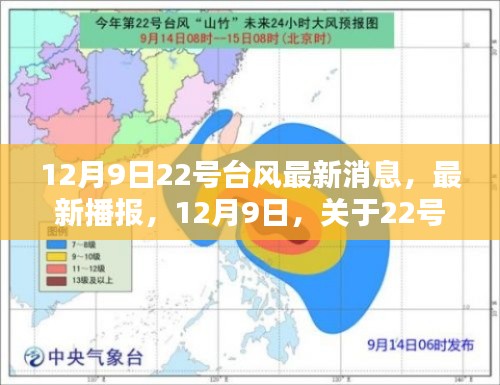 明目张胆 第3页