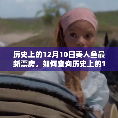 如何查询历史上12月10日美人鱼票房数据——步骤指南