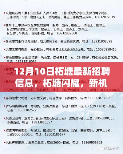 柘塘闪耀新机遇，12月10日最新招聘信息全解析