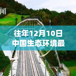 冬日绿意中的温馨故事，中国生态环境最新动态与家的温暖（12月10日）