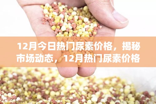 揭秘市场动态，12月热门尿素价格走势分析与预测