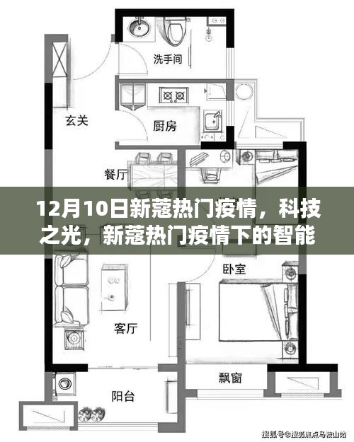 粗枝大叶 第3页