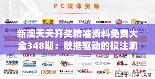 新澳天天开奖精准资料免费大全348期：数据驱动的投注洞见