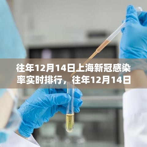 往年12月14日上海新冠感染率实时排行深度解析与观察报告