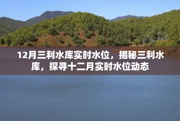 纲挈目张 第3页