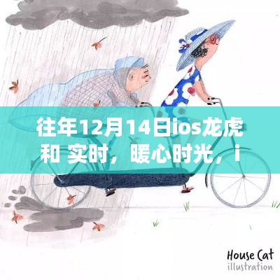富贵不淫 第3页