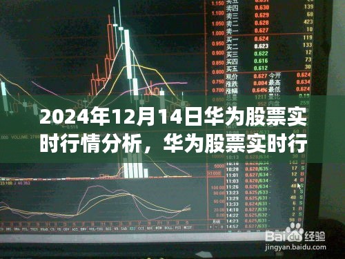 2024年12月14日华为股票实时行情深度洞察与分析