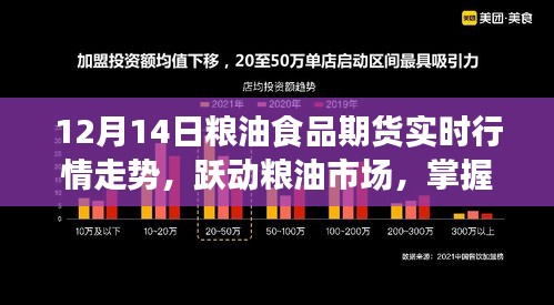 跃动粮油市场，掌握期货行情，成就梦想之路——12月14日粮油食品期货实时行情解析