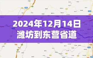 张皇铺饰 第4页