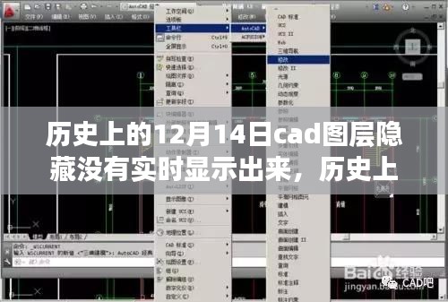 丢三落四 第3页
