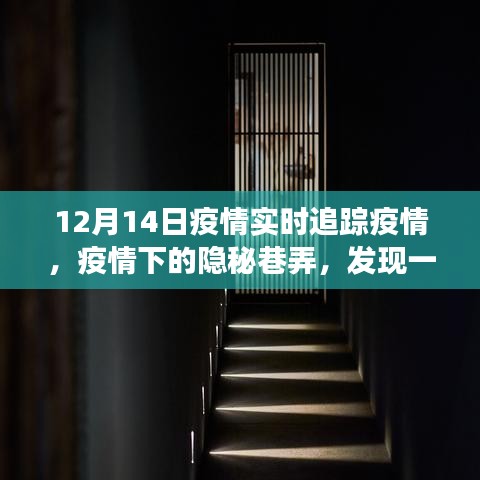 轻徙鸟举 第3页