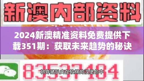 2024新澳精准资料免费提供下载351期：获取未来趋势的秘诀