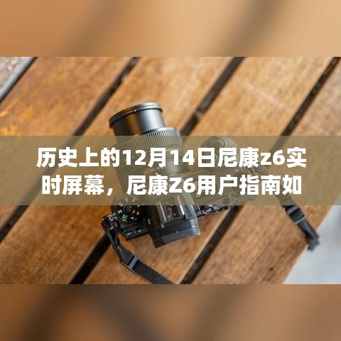 草率从事 第3页