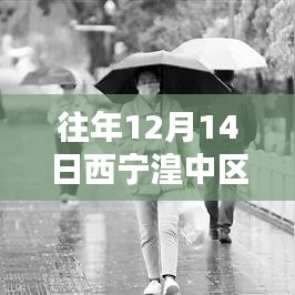 往年12月14日西宁湟中区天气预报及服务质量深度解析