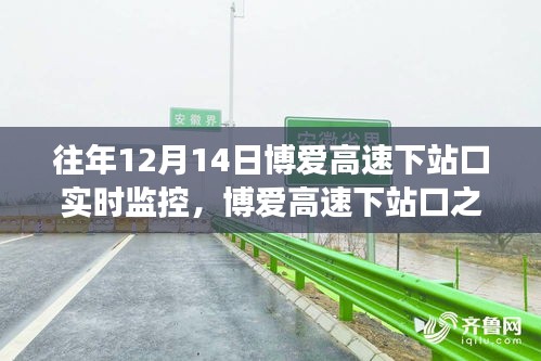 飞蝗芜湖 第3页
