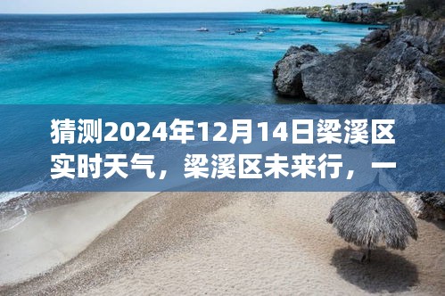 百鸟朝凤 第3页