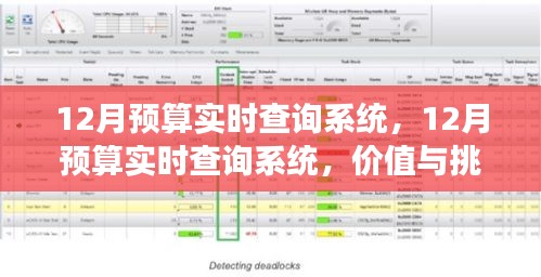全方位解读，12月预算实时查询系统的价值与面临的挑战