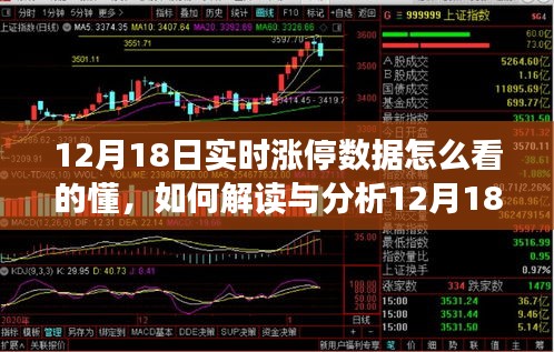 初学者与进阶用户必读，解读与分析股市实时涨停数据指南——以12月18日为例