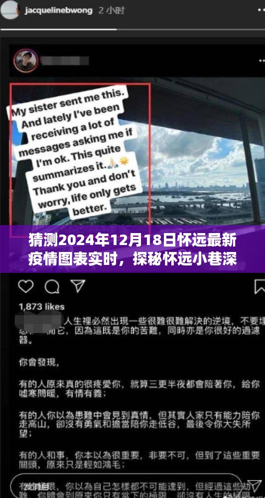 不飞则已 第3页
