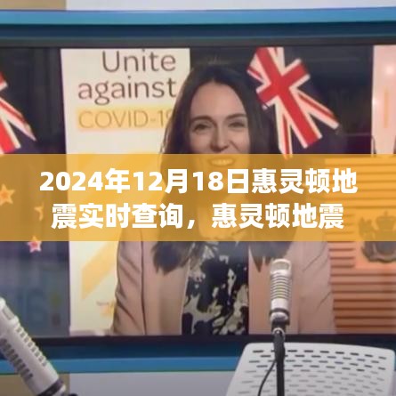 惠灵顿地震中的温情与冒险，一场突如其来的友情之旅（实时查询）