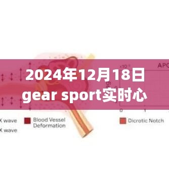 没张倒置 第3页