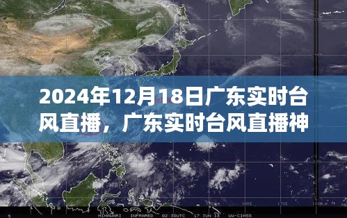 广东台风直播，科技前沿追踪体验