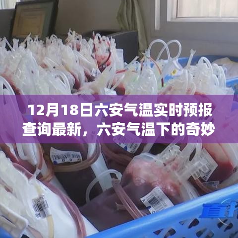 艰苦卓绝 第3页
