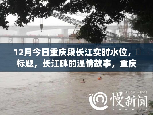 兢兢业业 第3页