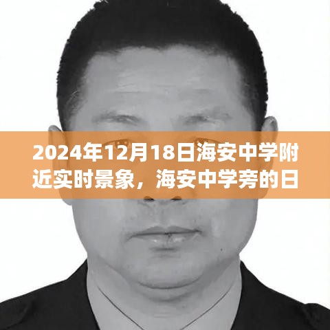 鸟革翬飞 第3页