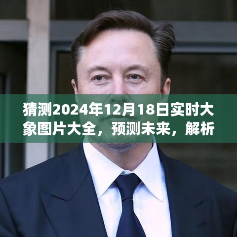 雍容典雅 第3页