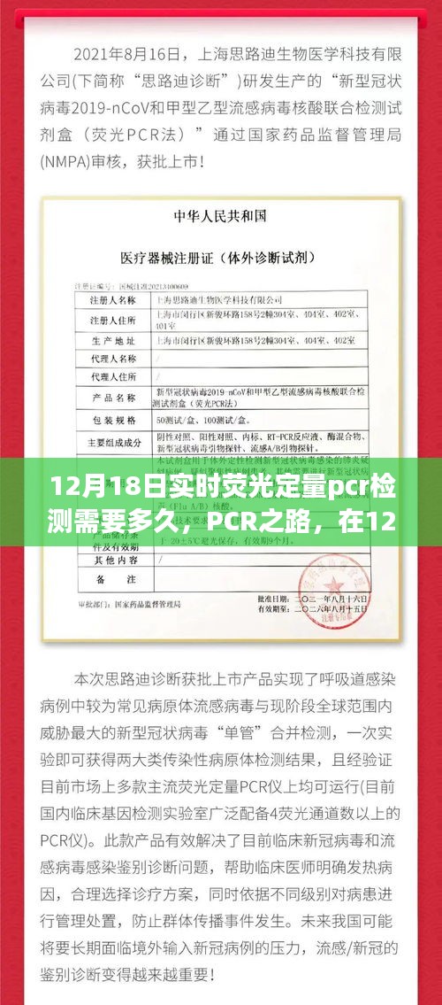 飞来飞去 第3页
