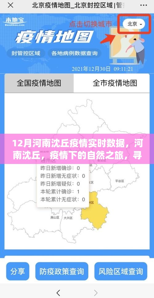 惊弦之鸟 第3页